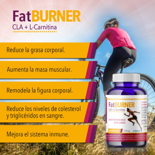 FATBURNER – 60 Cápsulas – CLA + L-Carnitina – Quemagrasas deportivo - Imagen 4