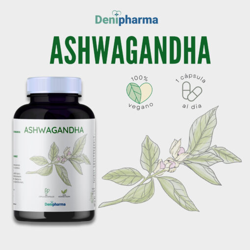 Pack Melena de León - Ashwagandha - La combinación natural para foco y equilibrio. - Imagen 4