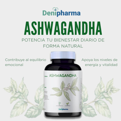 Pack Melena de León - Ashwagandha - La combinación natural para foco y equilibrio. - Imagen 3