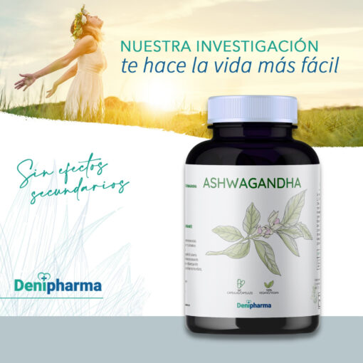 Ashwagandha 25:1 – 180 CÁPSULAS - Imagen 5